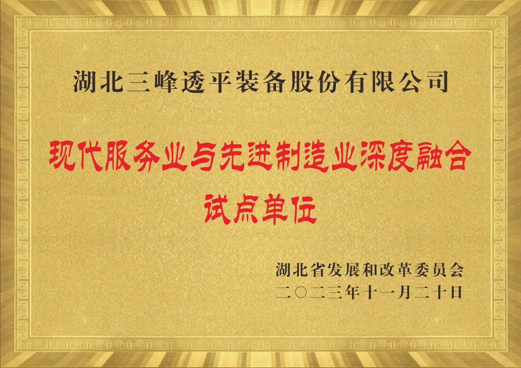 Пилотная организация глубокой интеграции современного обслуживания и передового производства