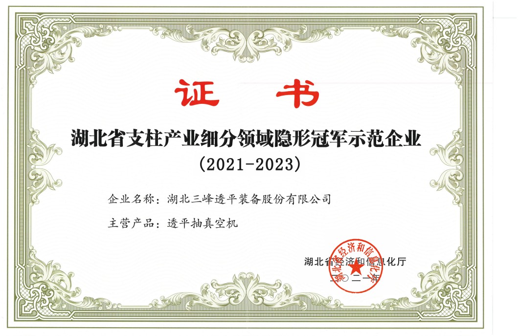 Демонстрационное предприятие-«скрытый чемпион» в узкоспециализированной области ключевых отраслей провинции Хубэй